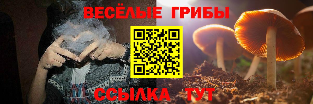 Галлюциногенные грибы мухоморы  Вход с VPN  Псилоцибиновые грибы MAGIC MUSHROOMS  как найти закладки  Когалым 